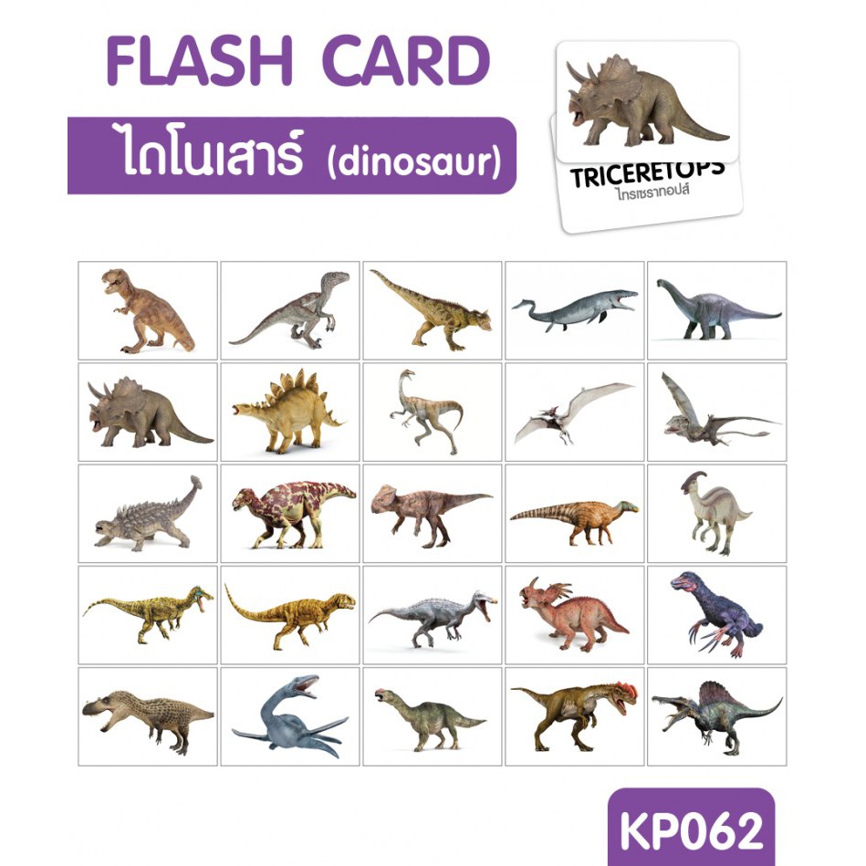 flashcardแฟลชการ์ดไดโนเสาร์-dinosaur