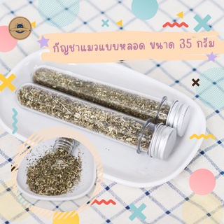 catnip แคทนิป แบบหลอด​ กัญชาแมว แบบหลอด ขนาด 35 กรัม สูตรธรรมชาติ100% ปลอดภัยต่อแมว