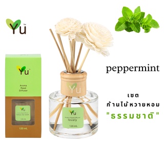 สินค้า 🌟🎁 ก้านไม้หอม 120 ml. กลิ่น Peppermint (เปปเปอร์มิ้นท์) กลิ่นหอมเย็นสดชื่นมาก หอมเย็นปลอดโปล่งโล่งสบาย