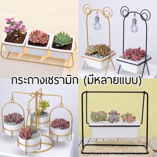 (ร้านไทย) กระถางกระบองเพชร กระถางเซรามิก กระถางแคคตัส สวนถาด