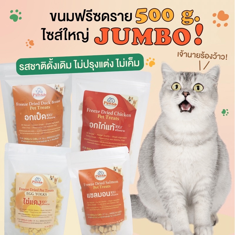 ภาพหน้าปกสินค้า(อ่าน )500 กรัม PAWSA ไก่ฟรีซดราย ขนมแมว ฟรีซดรายแมว ขนมสัตว์เลี้ยงเพื่อสุขภาพ ไก่อบแห้ง