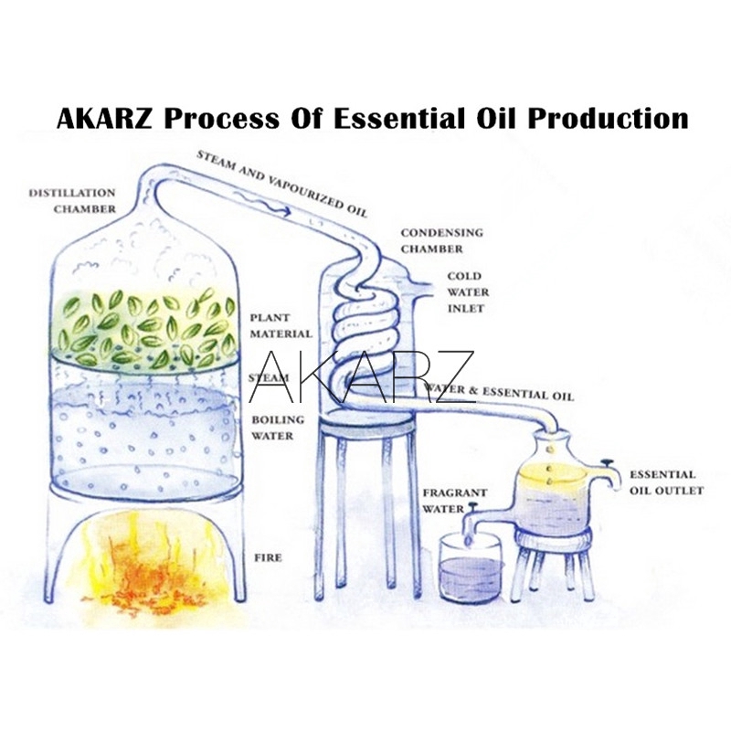 cinnamon-essential-oil-akarz-น้ำมันหอมระเหยอบเชย-นักบุญ-การดูแลผิว-การดูแลร่างกาย-นวดฮ่องกง