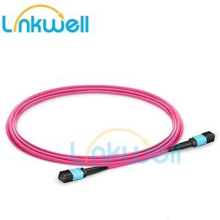 1 Meters 12 Cores OM4 MPO Optical Fiber Patch cord 50/125 Multimode APC UPC  Jumper Female To Female Type  A Type B Type