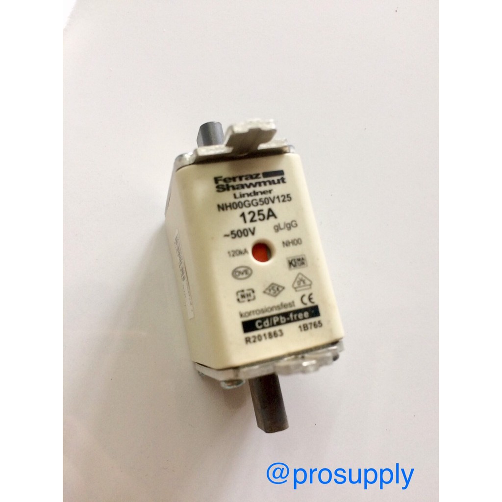 1PCS Ferraz Shawmut Sicherung NH00GG50V125 125A 500V Neu