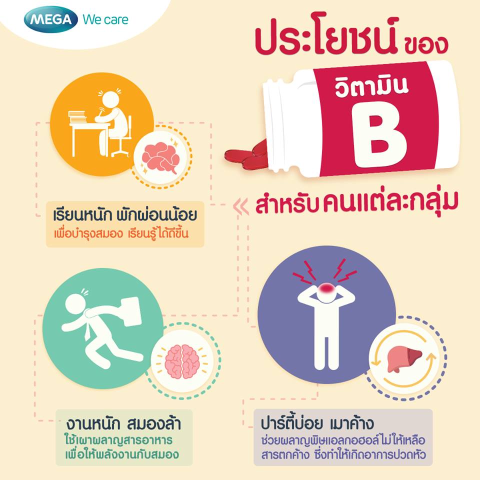 ภาพสินค้าMEGA We Care NAT-B เมก้า แนท-บี บำรุงระบบประสาทและสมอง ขนาด 40 แคปซูล จากร้าน santegoodhealth_officialshop บน Shopee ภาพที่ 2