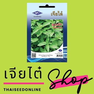 ภาพขนาดย่อของภาพหน้าปกสินค้าเมล็ดพันธุ์ แมงลัก 4,000 เมล็ด ซองจัมโบ้ เพิ่มปริมาณมากกว่า 3 เท่า ตราเจียไต๋ Hoary Basil จากร้าน thaiseedonline บน Shopee ภาพที่ 7