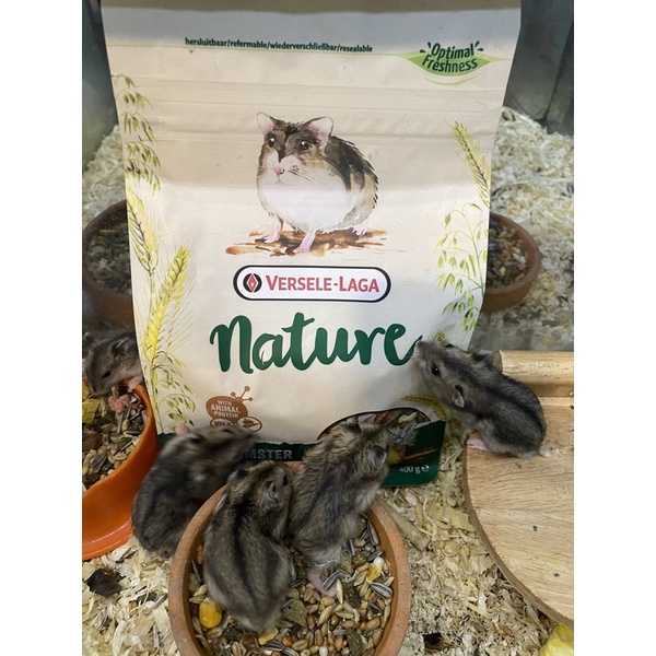 อาหารหนูแฮมเตอร์-อาหารหนูมินิเนเจอร์-mini-nature400g