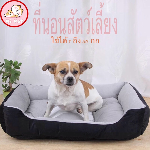 dandan-ที่นอนสัตว์เลี้ยง-kennel-pet-mattress