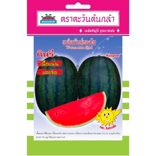 เมล็ดพันธุ์ แตงโม กินรี 1 กรัม/ซอง ตราตะวันต้นกล้า