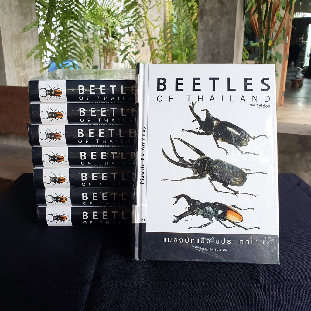 標本 BEETLES OF THAILAND 2nd Edition หนังสือ Beetle of Thailand ด้วงสวยงามในเมืองไทย | Shopee Thailand