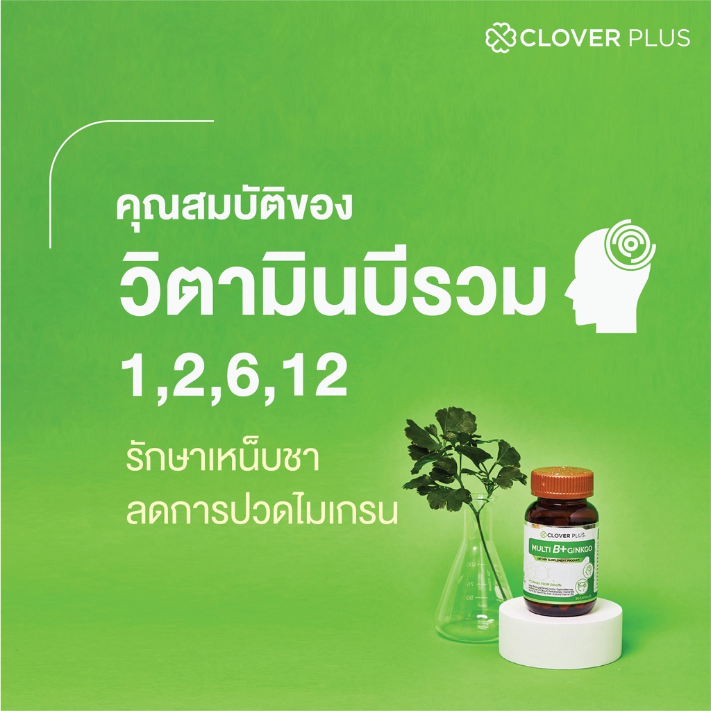 ภาพสินค้าClover Plus Multi B+ Ginkgo อาหารเสริม สารสกัด ใบแปะก๊วย วิตามินบี1 วิตามินบี 2 วิตามินบี6 วิตามินบี12 1 ขวด 30 แคปซูล จากร้าน daryvit บน Shopee ภาพที่ 3