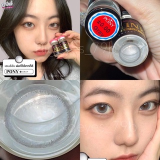 ✨Gray ขนาดตาโต สายตาปกติ สายตาสั้น (Bigeyes) ☀️กรองแสง uv ✔️จดทะเบียนถูกต้อง 🇰🇷คอนแทคเลนส์สัญชาติเกาหลี🇰🇷