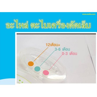 ภาพขนาดย่อของภาพหน้าปกสินค้าที่ตัดเล็บเด็ก ส่งฟรี จากร้าน shekate บน Shopee ภาพที่ 2