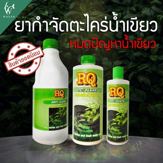 ราคายากำจัดตะไคร่น้ำเขียว RQ ANTI ALGAE BY วสันต์อุปกรณ์ปลาสวยงาม