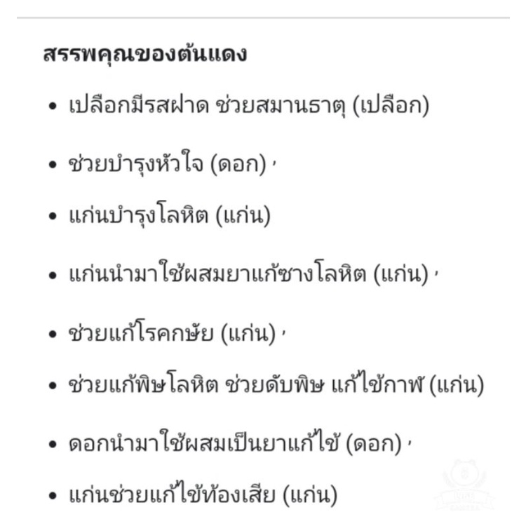 เมล็ดพันธุ์ต้นไม้แดง-เม็ดต้นแดง-เม็ดไม้แดง-เมล็ดพันธุ์ต้นไม้เศรษฐกิจ-ชุดล่ะ-100-เม็ด