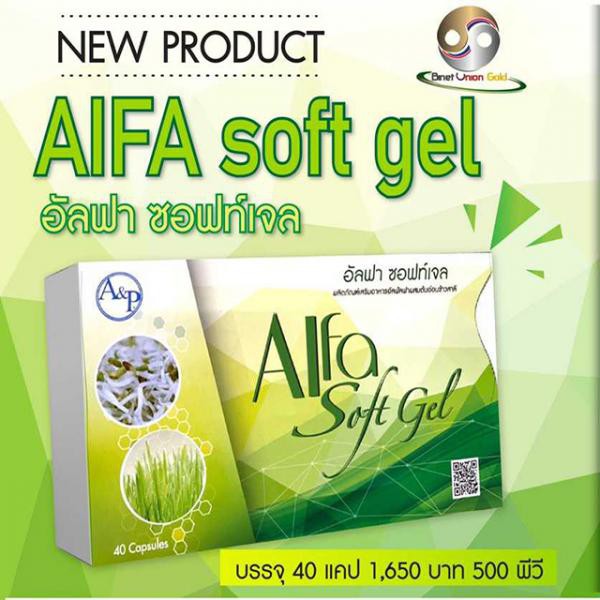 อัลฟา ซอฟท์เจล ALFA Soft Gel (500 PV) | Shopee Thailand