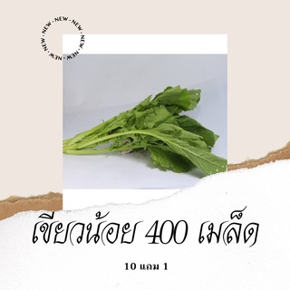 เมล็ดพันธุ์ผัก ผักกาดเขียวน้อนใบสร้อย 400เมล็ด 10แถม1 คละได้ ปลูกง่ายโตไว