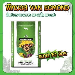 🌱 พีทมอส (Peat mos) 🌱พีทมอสปลูกแคคตัส 70  ลิตร Van Egmond วัสดุปลูก เพาะเมล็ด  เพาะต้นกล้า กระบองเพชร