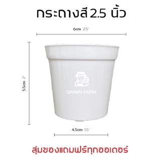 กระถางสี 2.5 นิ้ว ราคาส่ง | Color pot 2.5 inches. Wholesale price.