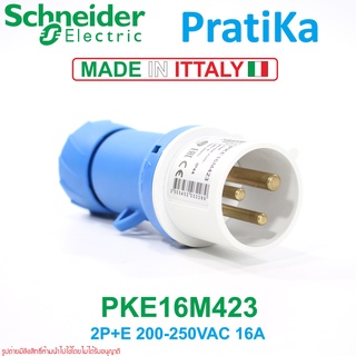 PKE16M423 Schneider Electric พาวเวอร์ปลั๊ก ปลั๊กตัวผู้แบบกลางทาง พาวเวอร์ปลั๊ก 2P+E Power plug 2P+E Schneider Electric P