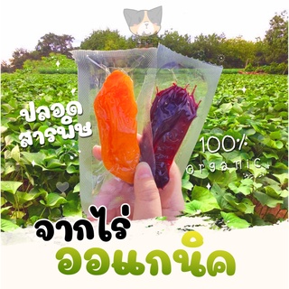 ภาพหน้าปกสินค้ามันหนึบ มันหวาน มันหวานญี่ปุ่น มันม่วง มันหนึบญี่ปุ่น มันญี่ปุ่น ขายเป็นชิ้น ที่เกี่ยวข้อง