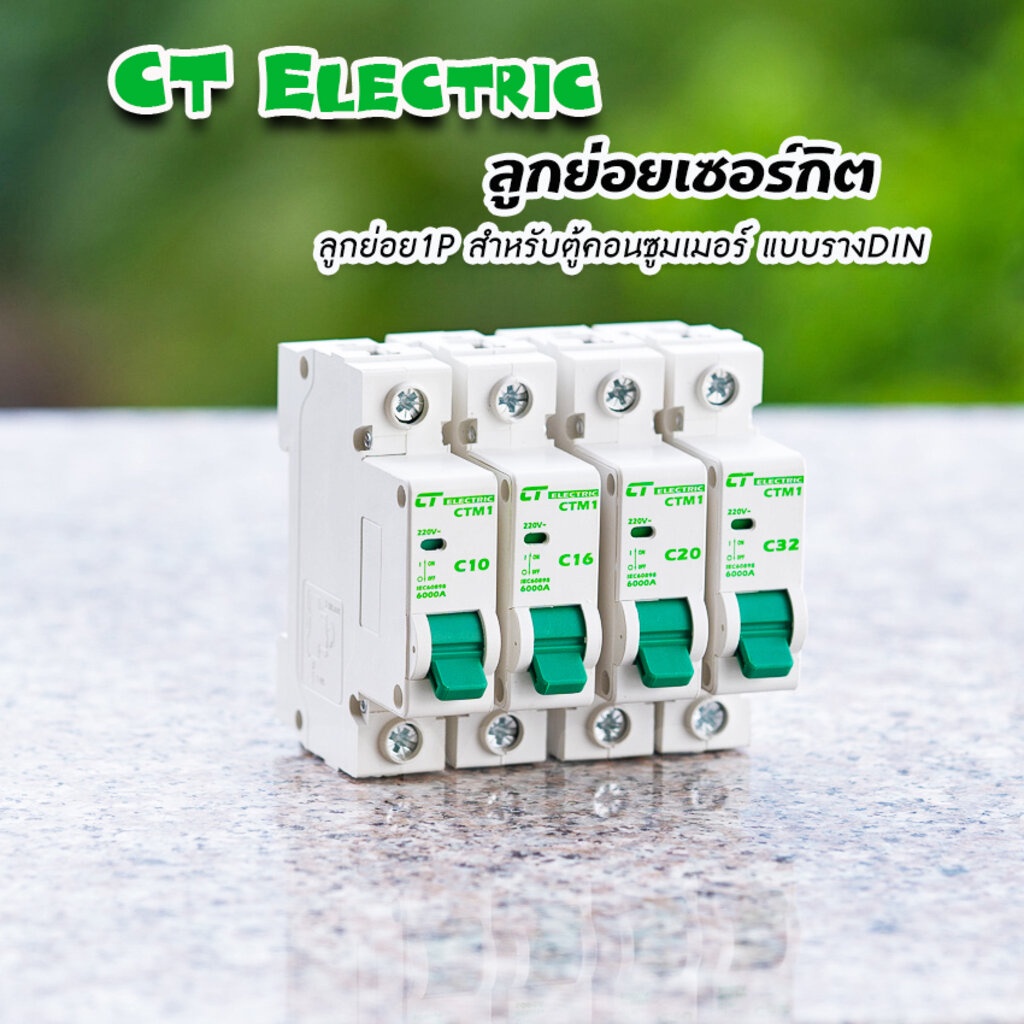 ภาพหน้าปกสินค้าลูกย่อย ลูกเซอร์กิตเบรกเกอร์ CT Electric 1Ploe สำหรับตู้แบบรางDIN 10A,16A,20A,32A จากร้าน comamg บน Shopee