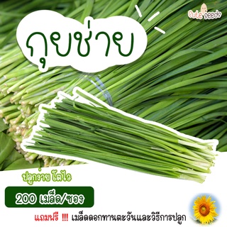 เมล็ดพันธุ์กุยช่าย 200 เมล็ด อัตราการงอก95% ปลูกง่าย โตไว(แถมฟรี เมล็ดผักทุกออเดอร์)