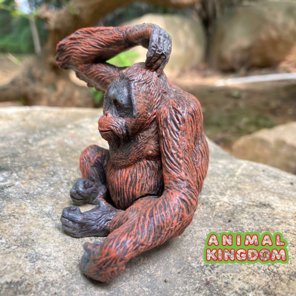 animal-kingdom-โมเดลสัตว์-ลิง-อุรังอุตัง-ขนาด-8-00-cm-จากหาดใหญ่