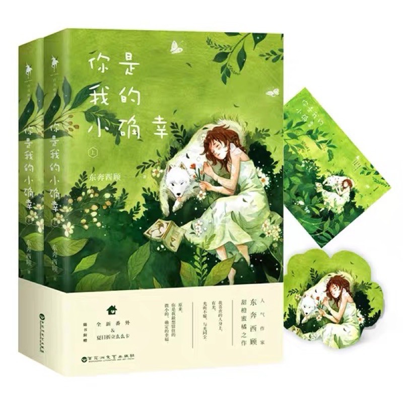 นิยายภาษาจีนเรื่องสุขเล็กๆที่เรียกว่าเธอ-pre-order