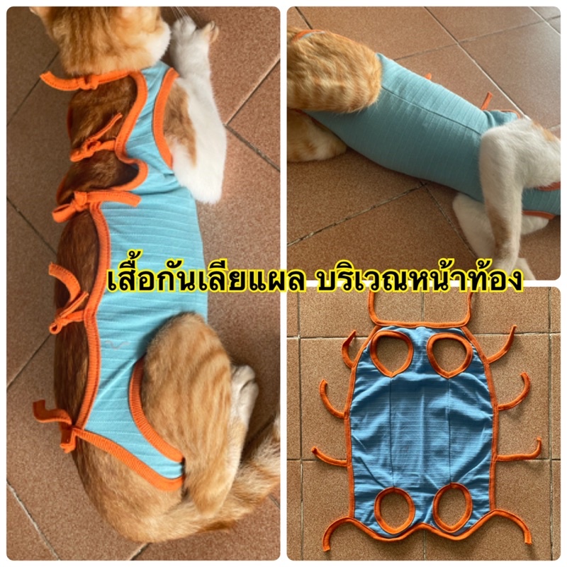 ถูก-เสื้อกันเลียแผลทำหมัน-แผลผ่าตัด-น้องแมว