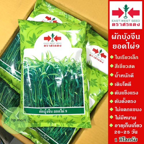 เมล็ดพันธ์-ผักบุ้งจีน-ยอดไผ่9-1-กิโล-ตราศรแดง-ใบเรียวเล็ก-สีเขียวสด-น้ำหนักดี-เมล็ดผักบุ้งจีนยอดไผ่9-ผักบุ้งยอดไผ่