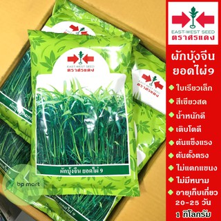 เมล็ดพันธ์ ผักบุ้งจีน ยอดไผ่9 1 กิโล ตราศรแดง ใบเรียวเล็ก สีเขียวสด น้ำหนักดี เมล็ดผักบุ้งจีนยอดไผ่9 ผักบุ้งยอดไผ่