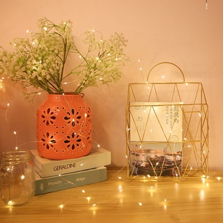 Fairy Light Waterproof LED String Lights Creative Festival Light Decor