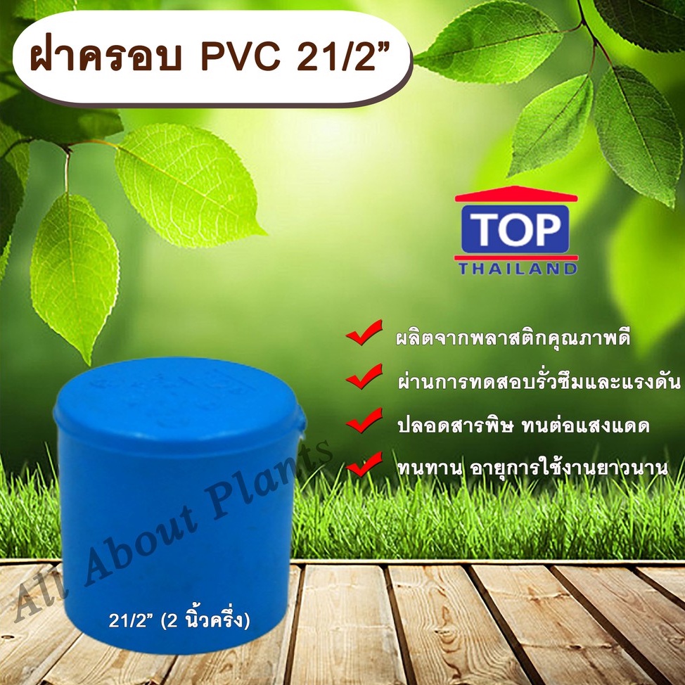 ฝาครอบ-pvc-ตรา-top-21-2-2นิ้วครึ่ง-ฝาครอบท่อpvc-ขนาด-2นิ้วครึ่ง-ตัวอุดท่อ-ฝาปิดท่อพีวีซี-allaboutplants