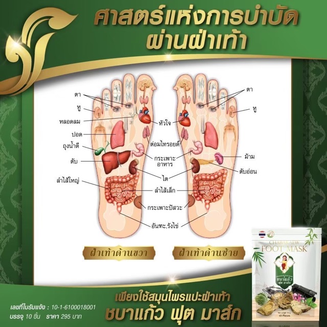 ภาพสินค้าส่งฟรี แผ่นแปะแก้ปวด ชบาแก้วแผ่นแปะสมุนไพร (Chabakaew Foot Mask ) จากร้าน dcherbs65 บน Shopee ภาพที่ 5