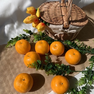 ส้มปลอมลูกละ49บาท Fruit Orange  ส้มปลอม สัมซันควิก ผลไม้ปลอม ผลไม้ตกแต่ง ตกแต่งร้าน พร็อพถ่ายรูป