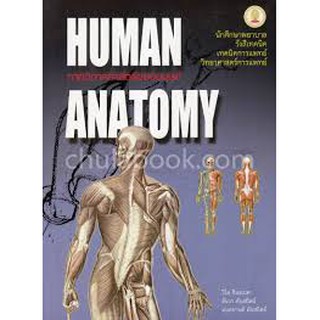 [ศูนย์หนังสือจุฬาฯ]  9789749993705 กายวิภาคศาสตร์ของมนุษย์ (HUMAN ANATOMY)