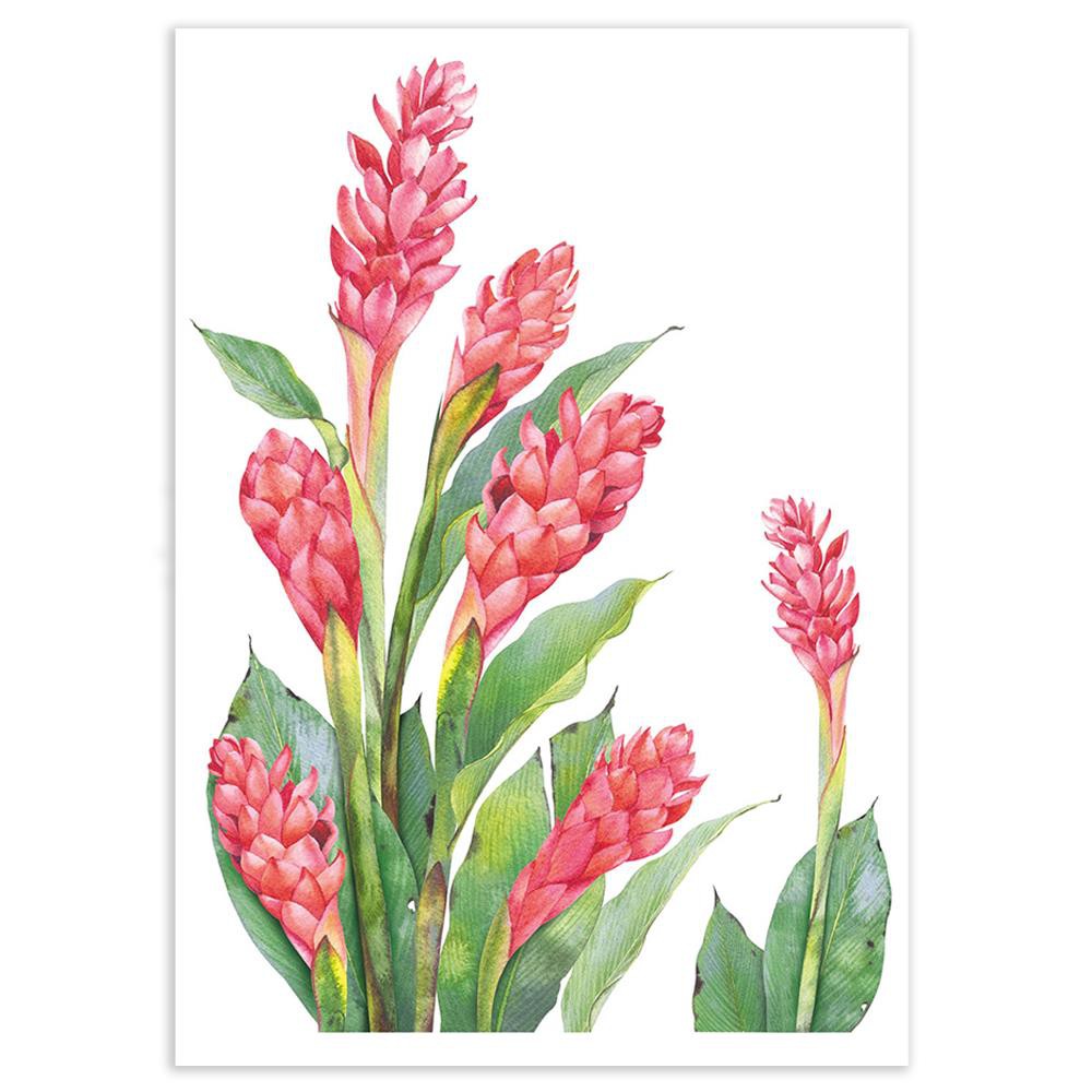 สติ๊กเกอร์-สติ๊กเกอร์ลอกน้ำ-diy-home-living-style-red-galangal-34x47-ซม-วอลเปเปอร์-สติ๊กเกอร์-เฟอร์นิเจอร์-ของแต่งบ้าน