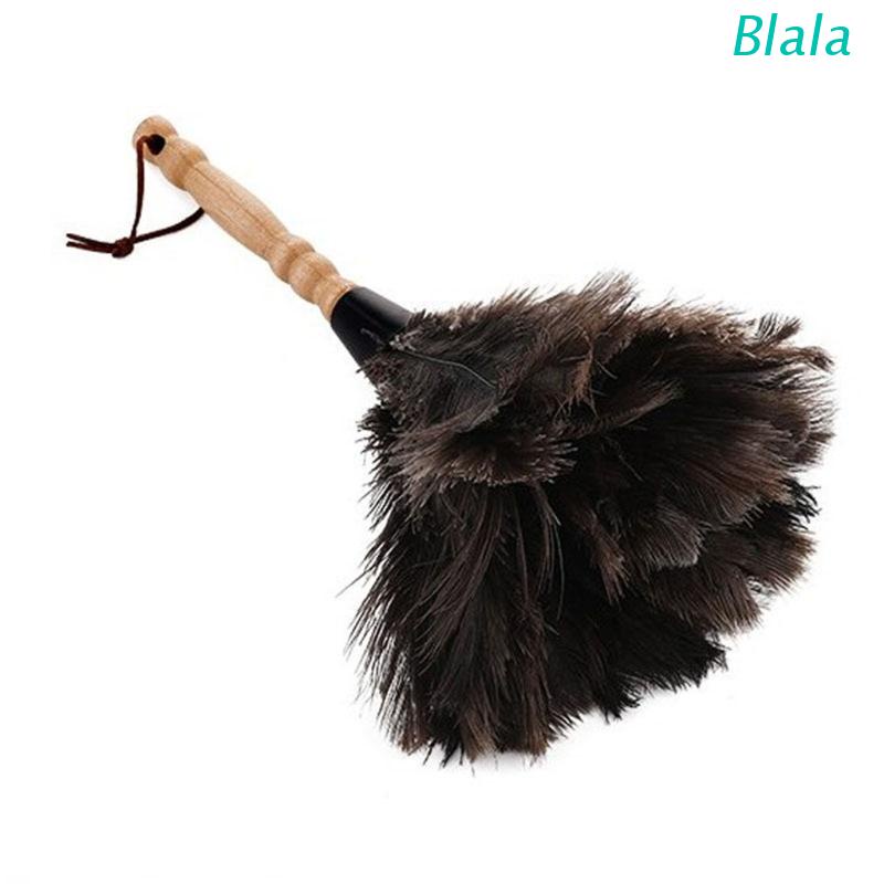 Natural Feathered Duster with Handle Long Use | Shopee Thailand