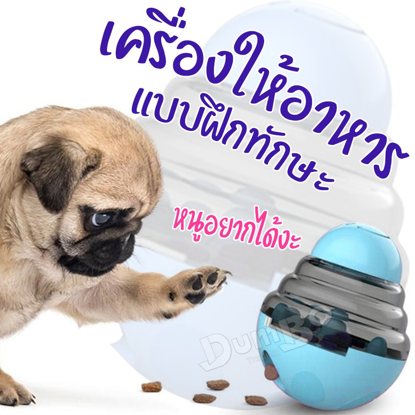 ของเล่นสัตว์เลี้ยง-ของเล่นแมวถูกๆ-ของเล่นหมา-ของเล่นสัตว์เลี้ยง-ของเล่น-ของเล่นสุนัขพร้อมปล่อยอาหาร-ของเล่นฝึกทักษะ