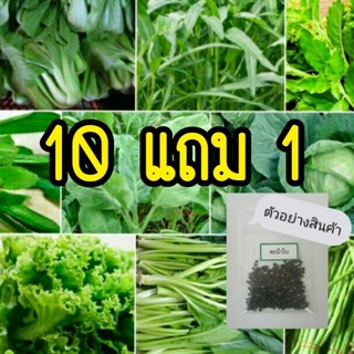 สินค้า 🌱เมล็ดพันธุ์ผัก บรรจุซองซิป🌱 ซื้อ 10 แถม 1 คละได้ ชุดที่ 1 💥