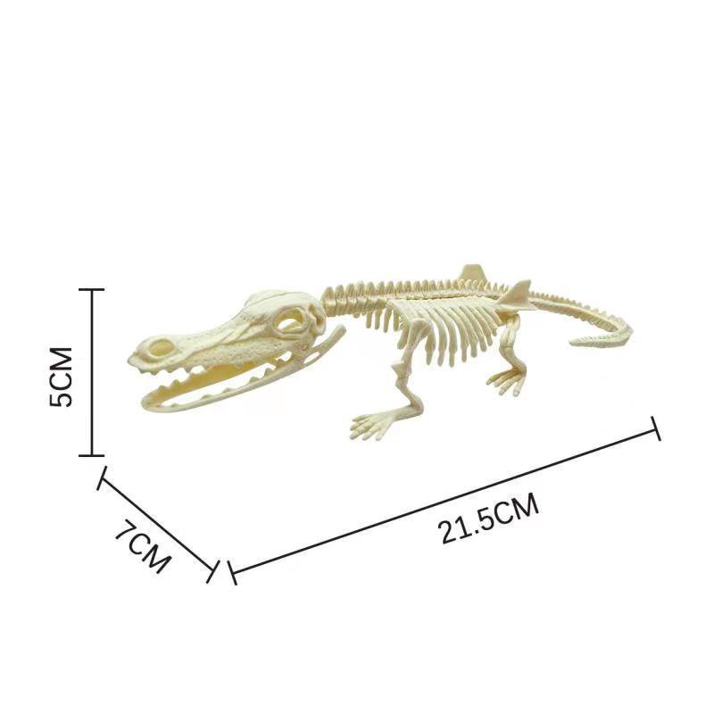 ของเล่นโบราณคดี-โครงกระดูกฟอสซิลไดโนเสาร์ประกอบโบราณคดี