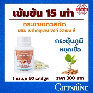 ภาพหน้าปกสินค้ากระชายขาว กระชายขาวสกัด แคปซูล กิฟฟารีน Giffarine กระชาย พลัส 60 แคปซูล 🔸️พร้อมส่ง🔸️ ที่เกี่ยวข้อง