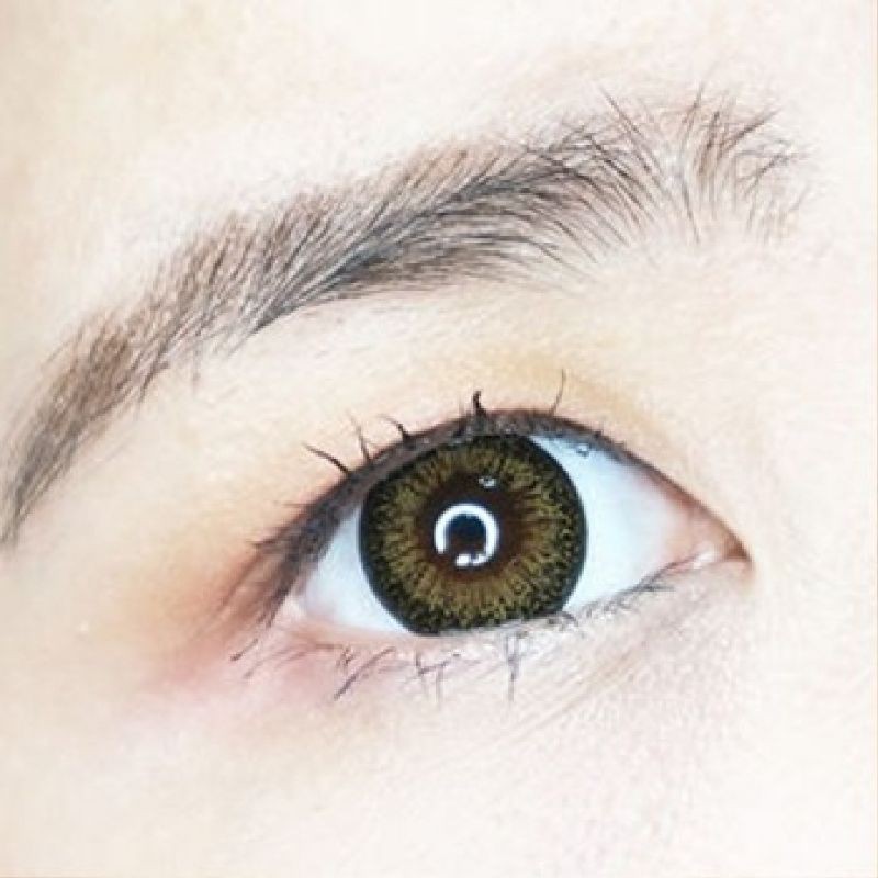 ivy-dolce-brown-1-2-บิ๊กอาย-สีน้ำตาล-น้ำตาล-contact-lens-คอนแทคเลนส์-ตัดขอบดำ-ตาโต-โทนแบ๊ว-ค่าสายตา-สายตาสั้น-แบ๊ว
