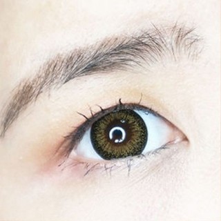 Ivy / Dolce Brown (1)(2) บิ๊กอาย สีน้ำตาล น้ำตาล Contact Lens คอนแทคเลนส์ ตัดขอบดำ ตาโต โทนแบ๊ว ค่าสายตา สายตาสั้น แบ๊ว