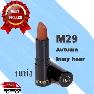 Melynn - Stunning Party MatteVelvet Lipstick M29 ลิปสติกเนื้อแมท ดีและถูก ทาปากติดแน่น