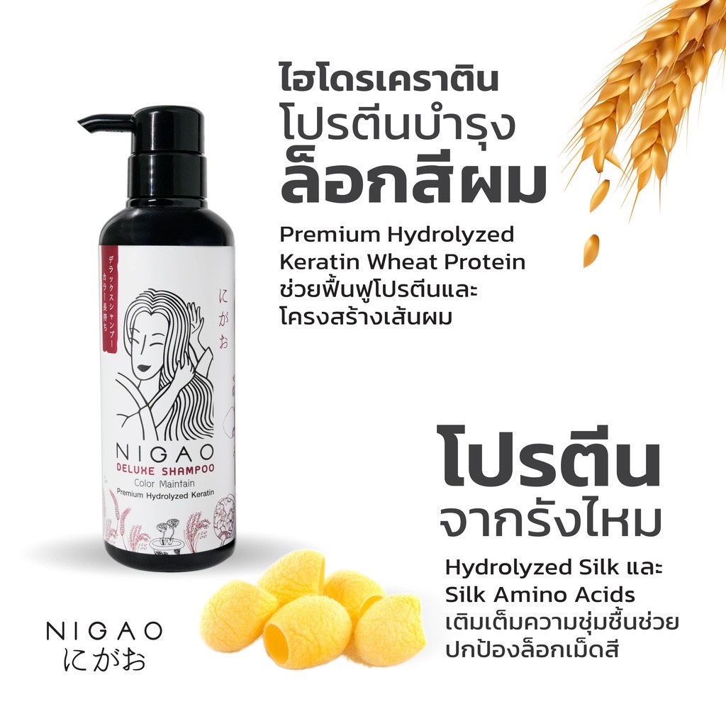 nigao-deluxe-shampoo-color-maintain-นิกาโอะ-ดีลักซ์-แชมพู-คัลเลอร์-เมนเทน