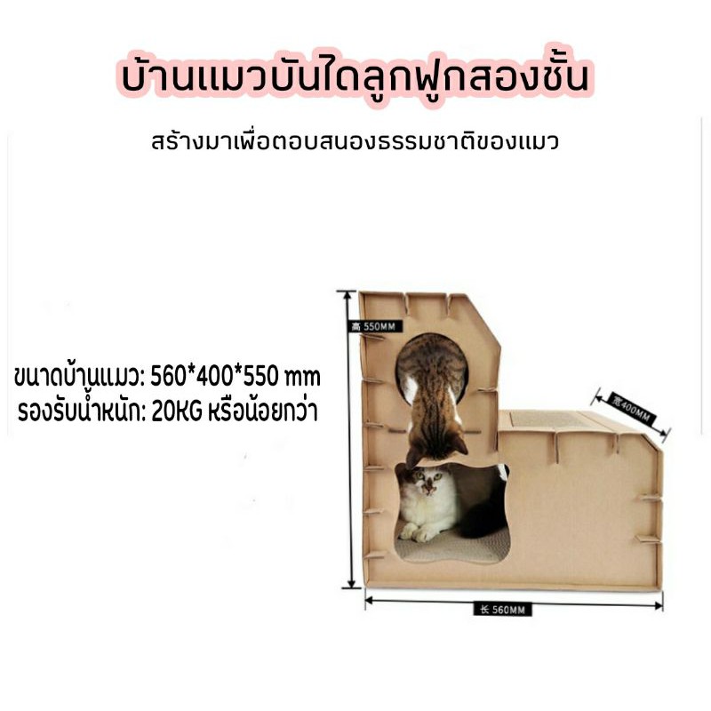 บ้านแมว-บันไดลูกฟูกสองชั้นบ้านแมว-ฝนเล็บแมว