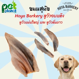 ภาพหน้าปกสินค้า[1ชิ้น] หูวัวอบแห้ง ขนมสุนัข Hoya barkery ขนมสำหรับ สุนัข หมา ขนมหมา อาหารสุนัข อาหารหมา หูวัวสำหรับสุนัข หูวัว ขนมหมา ที่เกี่ยวข้อง