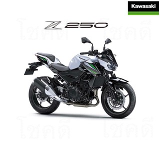 [Kawasaki] รุ่น Z250 รถจักรยานยนต์
